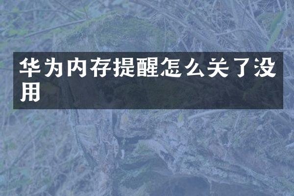 华为内存提醒怎么关了没用