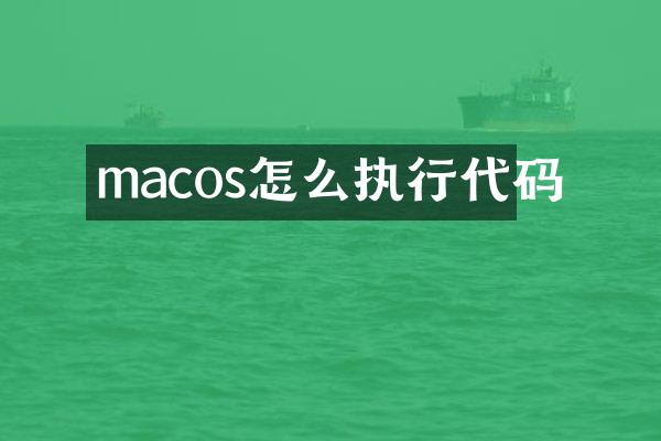 macos怎么执行代码