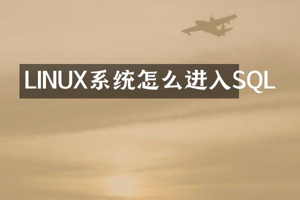 LINUX系统怎么进入SQL