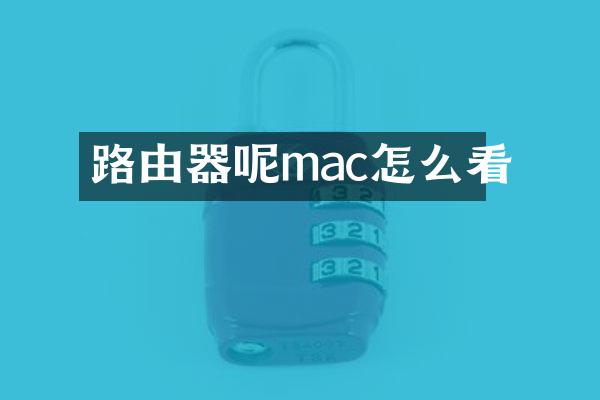 路由器呢mac怎么看