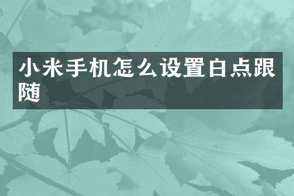 小米手机怎么设置白点跟随