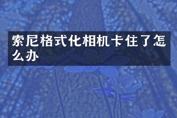 索尼格式化相机卡住了怎么办