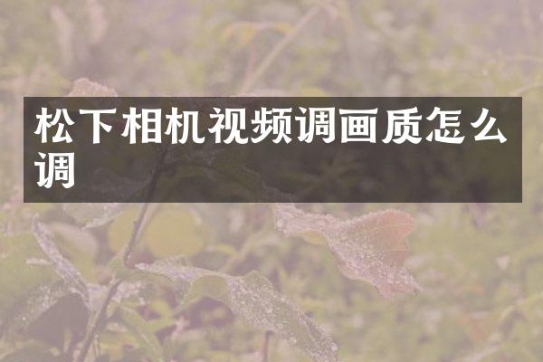 松下相机视频调画质怎么调