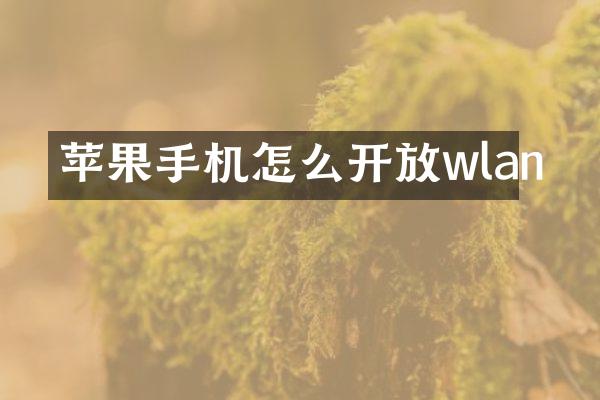 苹果手机怎么开放wlan