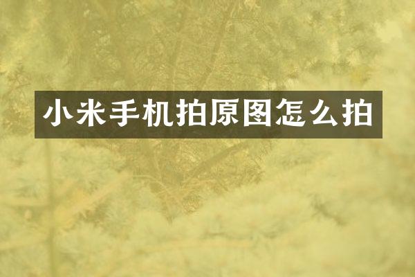 小米手机拍原图怎么拍