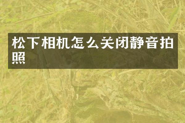 松下相机怎么关闭静音拍照