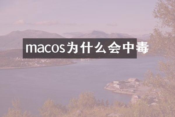 macos为什么会中毒