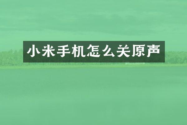 小米手机怎么关原声