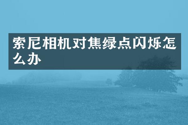 索尼相机对焦绿点闪烁怎么办