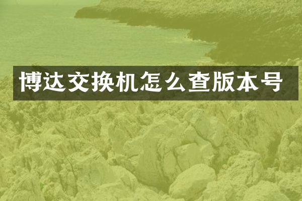 博达交换机怎么查版本号