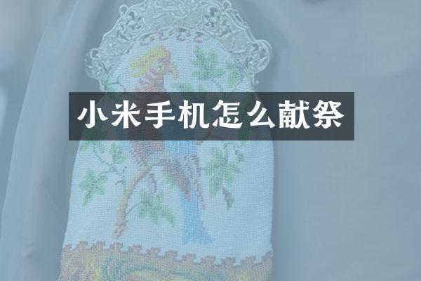 小米手机怎么献祭