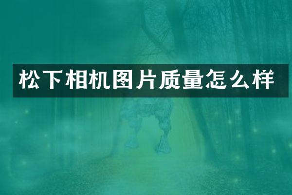 松下相机图片质量怎么样
