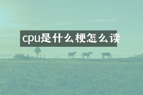 cpu是什么梗怎么读