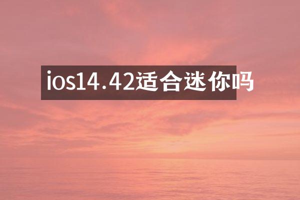 ios14.42适合迷你吗