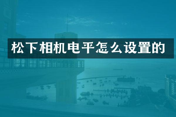 松下相机电平怎么设置的