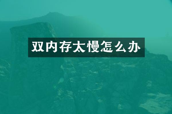 双内存太慢怎么办