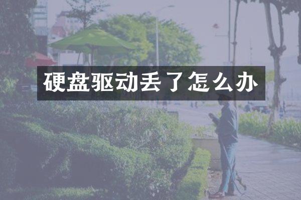 硬盘驱动丢了怎么办