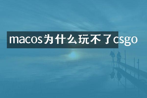 macos为什么玩不了csgo