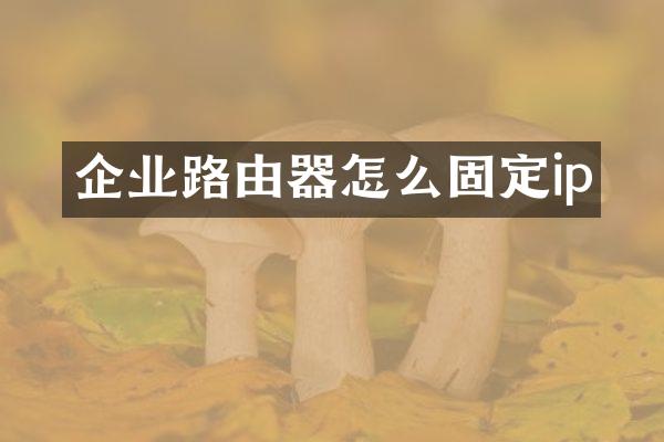 企业路由器怎么固定ip