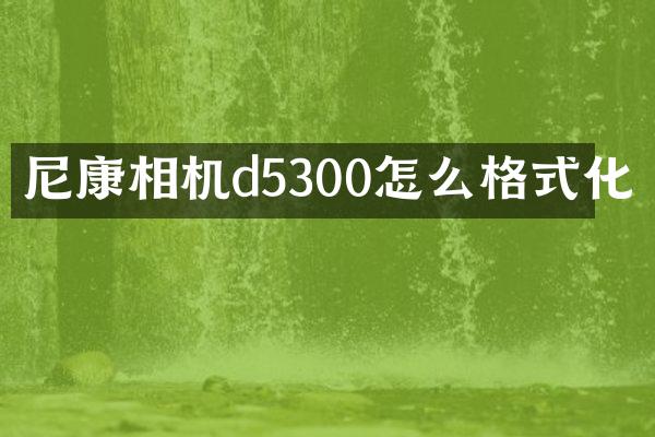 尼康相机d5300怎么格式化
