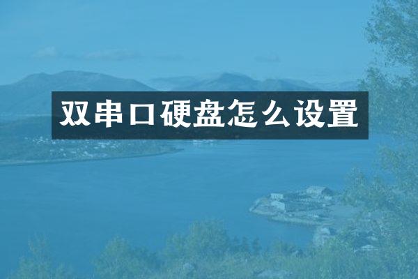 双串口硬盘怎么设置
