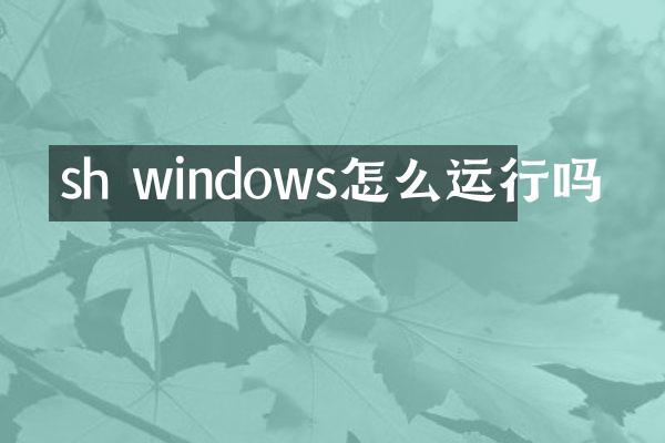 sh windows怎么运行吗