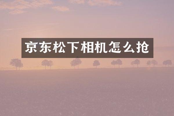 京东松下相机怎么抢