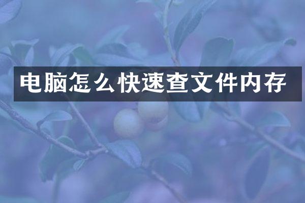 电脑怎么快速查文件内存