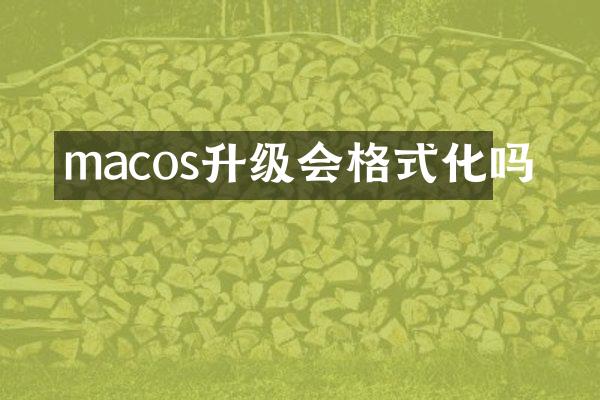 macos升级会格式化吗