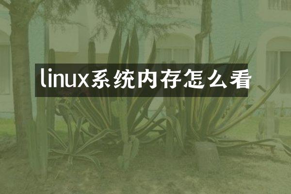 linux系统内存怎么看