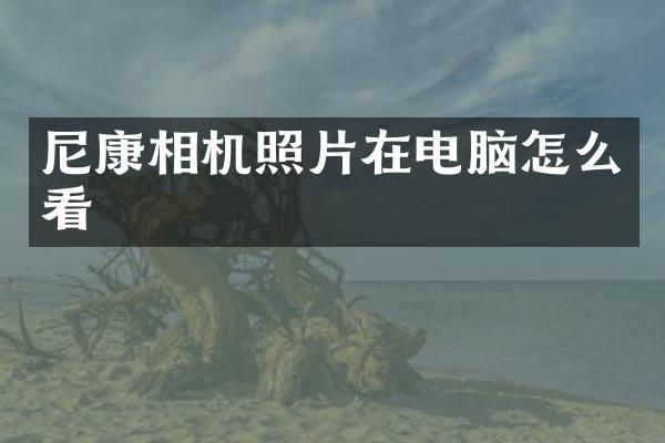 尼康相机照片在电脑怎么看