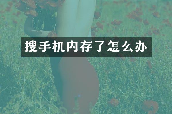 搜手机内存了怎么办