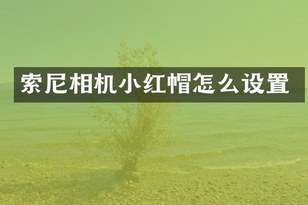 索尼相机小红帽怎么设置