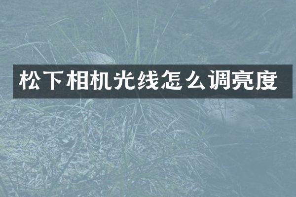 松下相机光线怎么调亮度