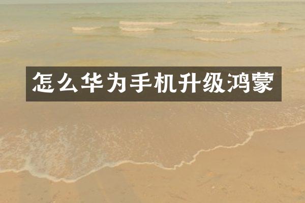 怎么华为手机升级鸿蒙