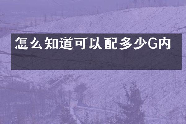 怎么知道可以配多少G内存