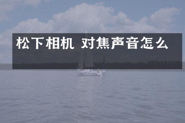 松下相机 对焦声音怎么关