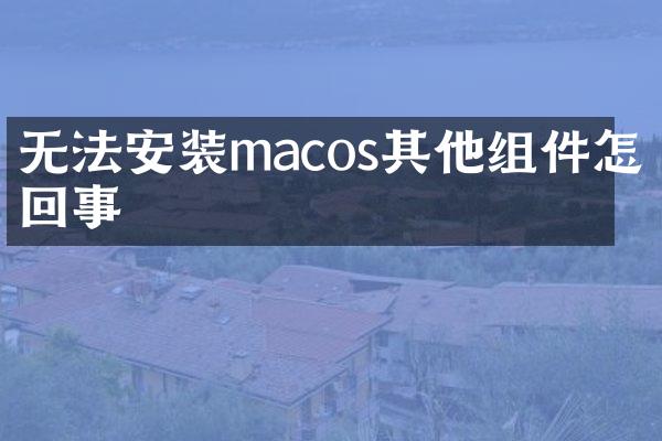 无法安装macos其他组件怎么回事