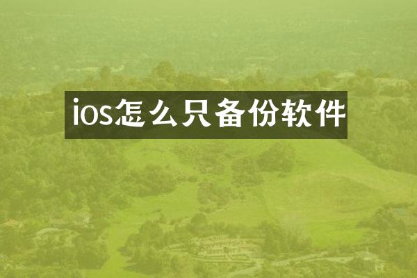 ios怎么只备份软件