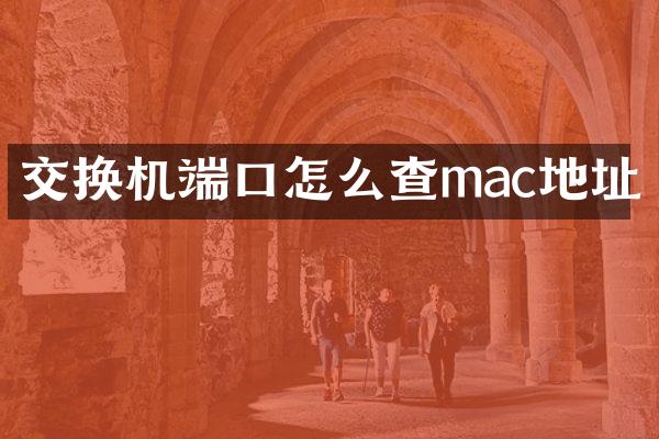 交换机端口怎么查mac地址