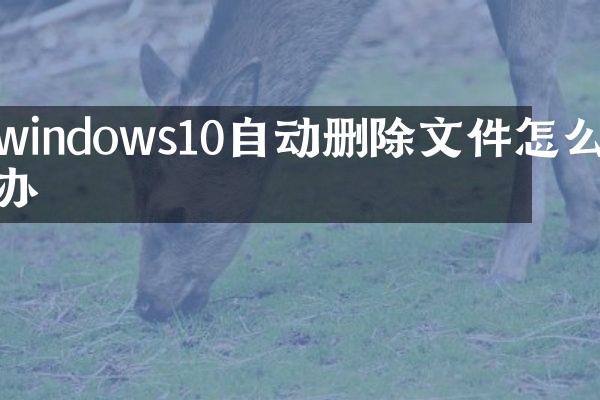 windows10自动删除文件怎么办