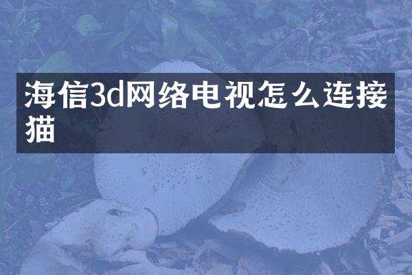 海信3d网络电视怎么连接光猫