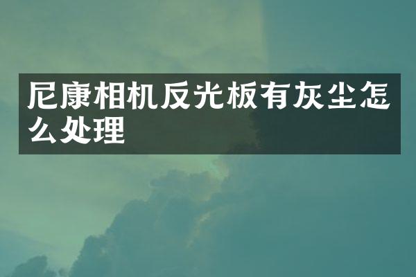 尼康相机反光板有灰尘怎么处理