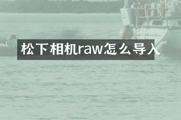 松下相机raw怎么导入