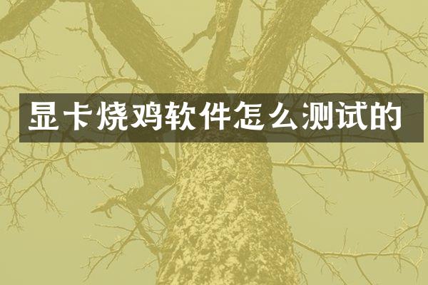 显卡烧鸡软件怎么测试的
