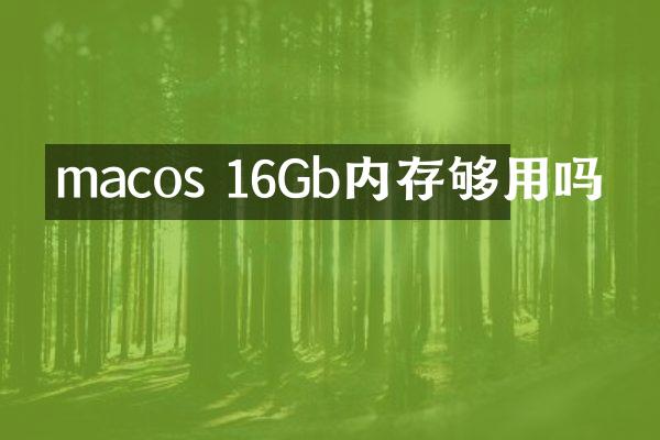 macos 16Gb内存够用吗
