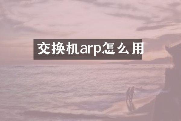 交换机arp怎么用