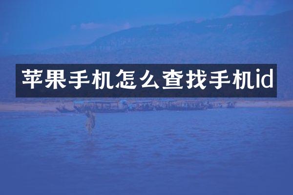 苹果手机怎么查找手机id
