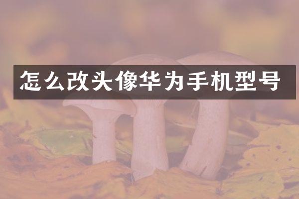 怎么改头像华为手机型号
