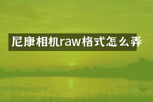 尼康相机raw格式怎么弄